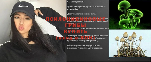 прущие грибы Балахна
