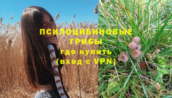 бошки Армянск