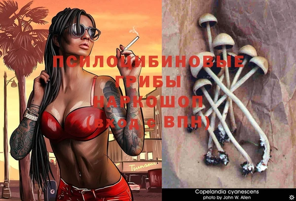 бошки Армянск